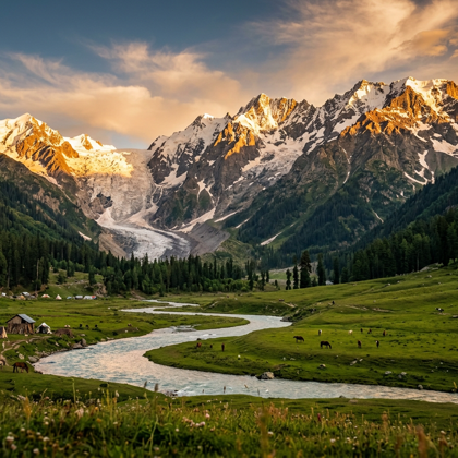 Glacier and meadow views in Sonamarg